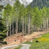 La revalorisation de l'alpage de Loutze